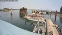 ./images/quadra/hbidock/20240809/hbidock20240809_122500M.jpg