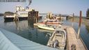 ./images/quadra/hbidock/20240809/hbidock20240809_152500M.jpg
