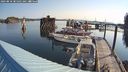 ./images/quadra/hbidock/20240810/hbidock20240810_085001M.jpg