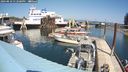 ./images/quadra/hbidock/20240810/hbidock20240810_132500M.jpg