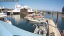 ./images/quadra/hbidock/20240810/hbidock20240810_132501M.jpg