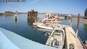 ./images/quadra/hbidock/20240810/hbidock20240810_143501M.jpg