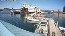 ./images/quadra/hbidock/20240810/hbidock20240810_152000M.jpg