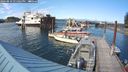 ./images/quadra/hbidock/20240810/hbidock20240810_171002M.jpg
