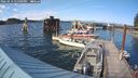 ./images/quadra/hbidock/20240810/hbidock20240810_174001M.jpg