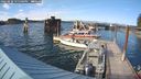 ./images/quadra/hbidock/20240810/hbidock20240810_175501M.jpg