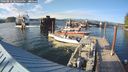 ./images/quadra/hbidock/20240810/hbidock20240810_185500M.jpg