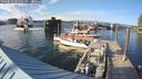 ./images/quadra/hbidock/20240810/hbidock20240810_185502M.jpg