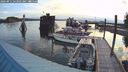 ./images/quadra/hbidock/20240811/hbidock20240811_063501M.jpg