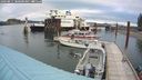 ./images/quadra/hbidock/20240811/hbidock20240811_080500M.jpg