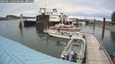 ./images/quadra/hbidock/20240811/hbidock20240811_081501M.jpg