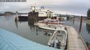 ./images/quadra/hbidock/20240811/hbidock20240811_091001M.jpg