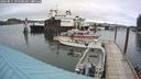 ./images/quadra/hbidock/20240811/hbidock20240811_095500M.jpg