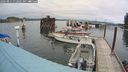 ./images/quadra/hbidock/20240811/hbidock20240811_112502M.jpg