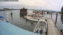 ./images/quadra/hbidock/20240811/hbidock20240811_113000M.jpg