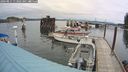 ./images/quadra/hbidock/20240811/hbidock20240811_113001M.jpg