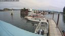 ./images/quadra/hbidock/20240811/hbidock20240811_114001M.jpg