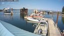 ./images/quadra/hbidock/20240811/hbidock20240811_152501M.jpg
