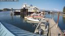 ./images/quadra/hbidock/20240811/hbidock20240811_170000M.jpg