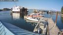 ./images/quadra/hbidock/20240811/hbidock20240811_171001M.jpg