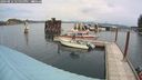 ./images/quadra/hbidock/20240812/hbidock20240812_130000M.jpg