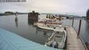 ./images/quadra/hbidock/20240812/hbidock20240812_133500M.jpg