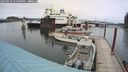 ./images/quadra/hbidock/20240812/hbidock20240812_134001M.jpg