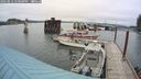 ./images/quadra/hbidock/20240812/hbidock20240812_140001M.jpg