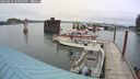 ./images/quadra/hbidock/20240812/hbidock20240812_140501M.jpg