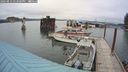 ./images/quadra/hbidock/20240812/hbidock20240812_142001M.jpg