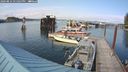 ./images/quadra/hbidock/20240812/hbidock20240812_171002M.jpg