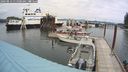 ./images/quadra/hbidock/20240813/hbidock20240813_115500M.jpg