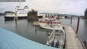 ./images/quadra/hbidock/20240813/hbidock20240813_115501M.jpg