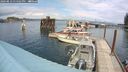 ./images/quadra/hbidock/20240813/hbidock20240813_134501M.jpg