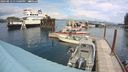 ./images/quadra/hbidock/20240813/hbidock20240813_135000M.jpg