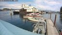 ./images/quadra/hbidock/20240813/hbidock20240813_135501M.jpg