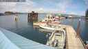 ./images/quadra/hbidock/20240813/hbidock20240813_152001M.jpg