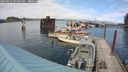 ./images/quadra/hbidock/20240813/hbidock20240813_161001M.jpg