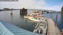 ./images/quadra/hbidock/20240813/hbidock20240813_165500M.jpg