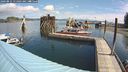 ./images/quadra/hbidock/20240814/hbidock20240814_111502M.jpg