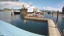 ./images/quadra/hbidock/20240814/hbidock20240814_115001M.jpg
