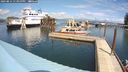 ./images/quadra/hbidock/20240814/hbidock20240814_134000M.jpg