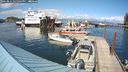 ./images/quadra/hbidock/20240814/hbidock20240814_155001M.jpg