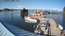 ./images/quadra/hbidock/20240814/hbidock20240814_171501M.jpg