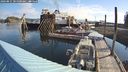 ./images/quadra/hbidock/20240815/hbidock20240815_085000M.jpg