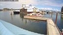 ./images/quadra/hbidock/20240815/hbidock20240815_135002M.jpg