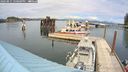 ./images/quadra/hbidock/20240815/hbidock20240815_150000M.jpg