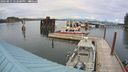./images/quadra/hbidock/20240815/hbidock20240815_152501M.jpg
