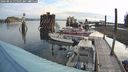 ./images/quadra/hbidock/20240816/hbidock20240816_075501M.jpg