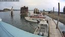 ./images/quadra/hbidock/20240816/hbidock20240816_100501M.jpg